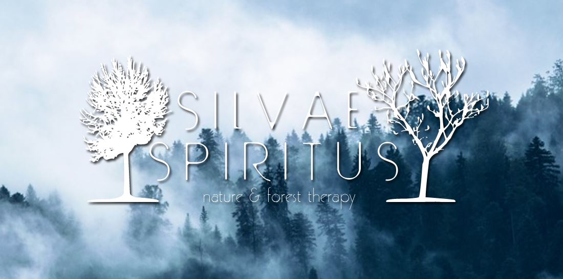 Journal Silvae Spiritus