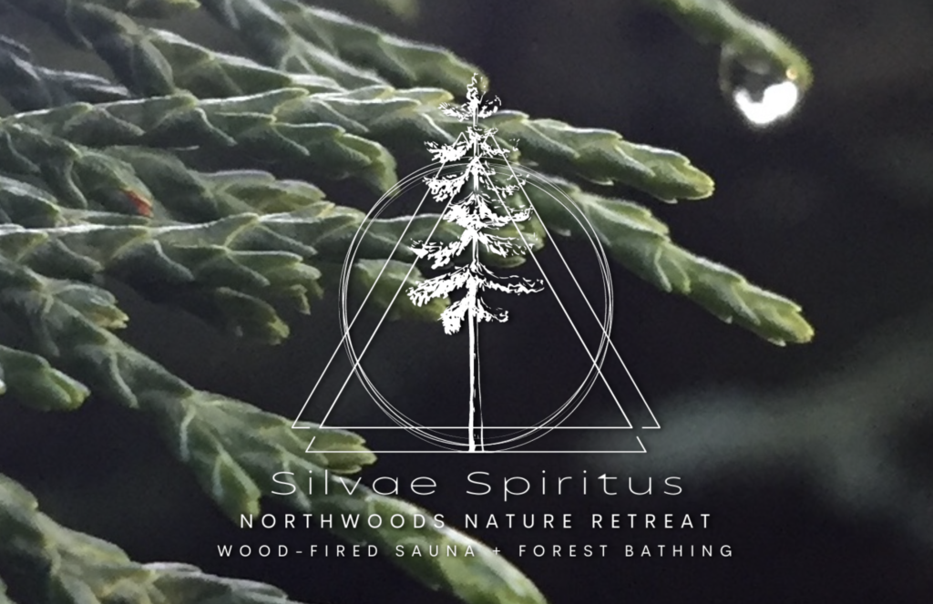 Company Logo atop closeup image of cedar with a raindrop